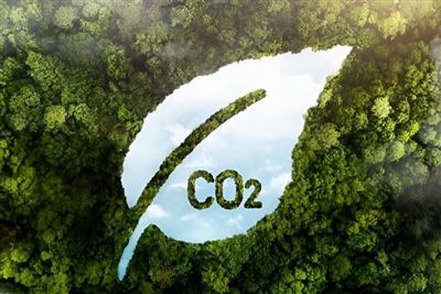 Sàn giao dịch tín chỉ carbon vận hành như thế nào?