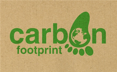 Dấu chân Carbon là gì? What is a carbon footprint?