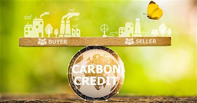 Cách tính Tín chỉ Carbon cho doanh nghiệp? 5 bước để tính toán Tín chỉ Carbon